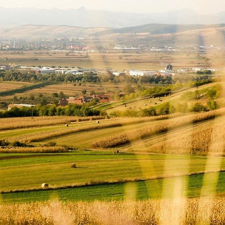 Pensiunea Casa Din VII Seusa Exteriér fotografie