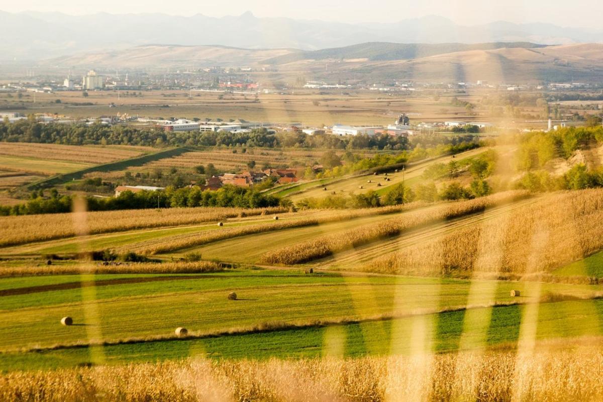 Pensiunea Casa Din VII Seusa Exteriér fotografie