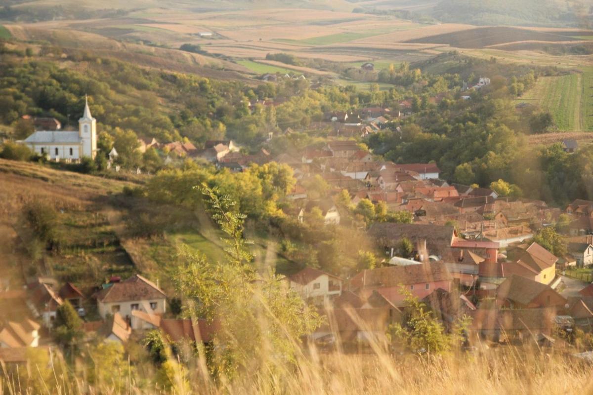 Pensiunea Casa Din VII Seusa Exteriér fotografie