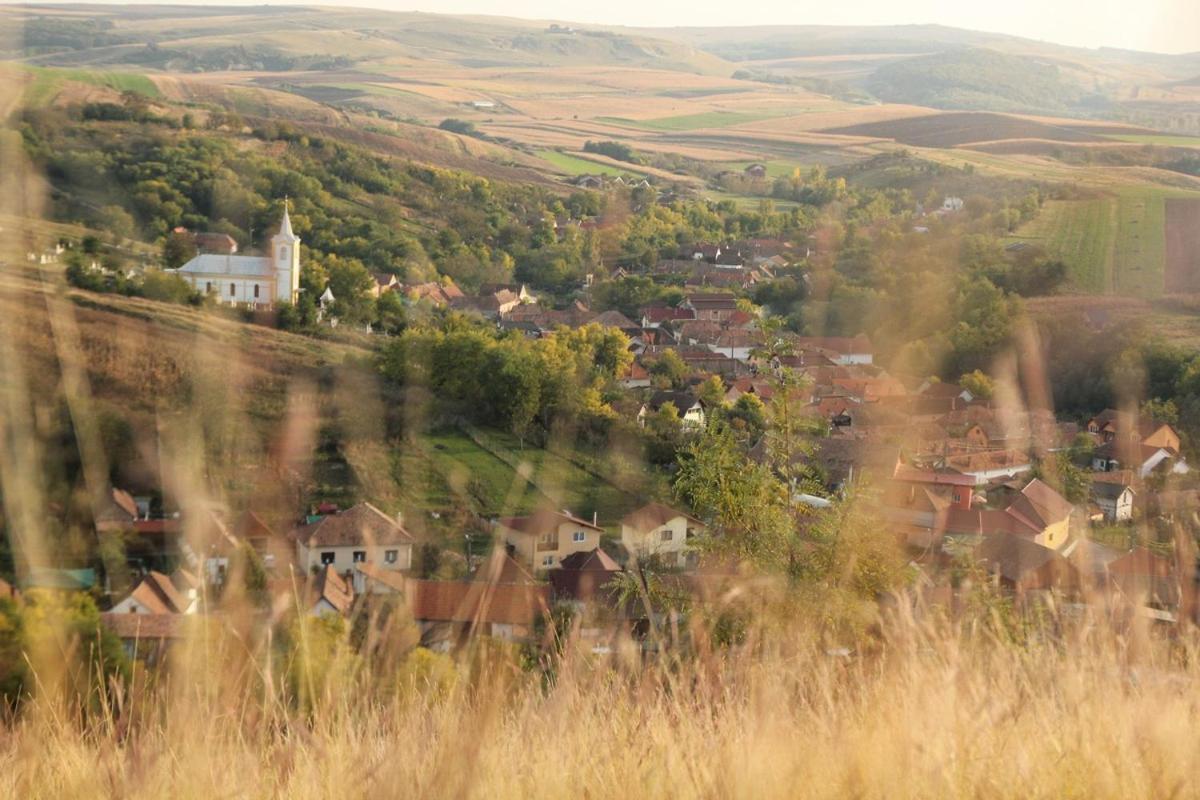 Pensiunea Casa Din VII Seusa Exteriér fotografie