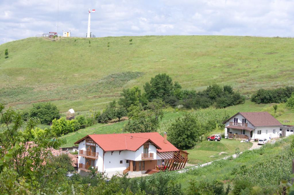 Pensiunea Casa Din VII Seusa Exteriér fotografie