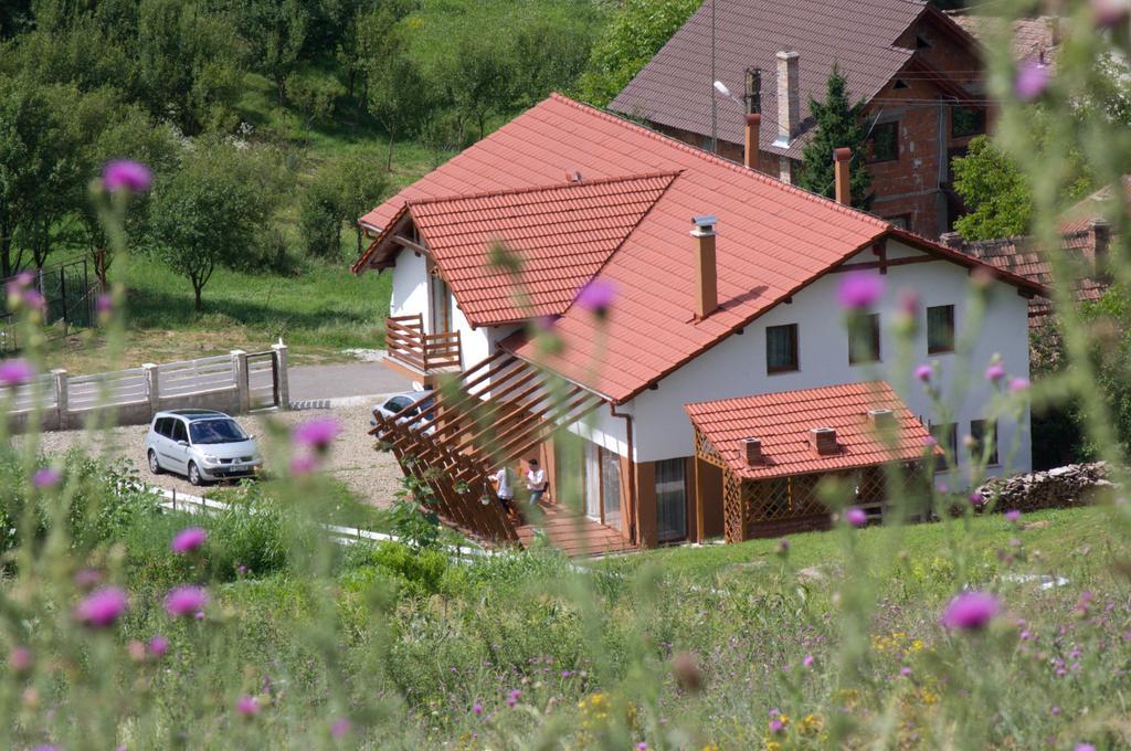 Pensiunea Casa Din VII Seusa Exteriér fotografie