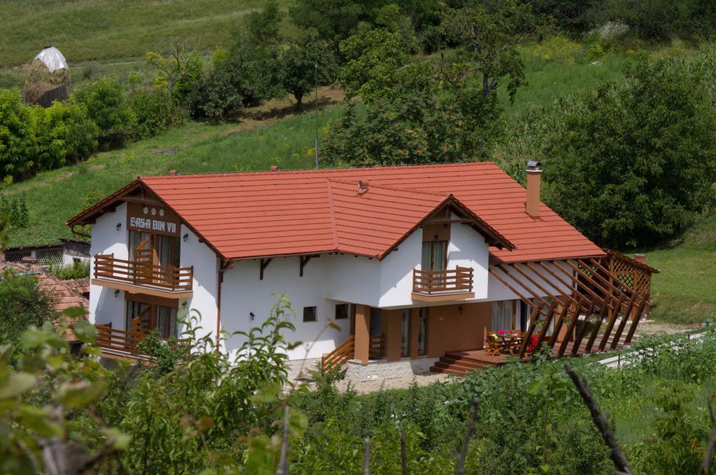 Pensiunea Casa Din VII Seusa Exteriér fotografie
