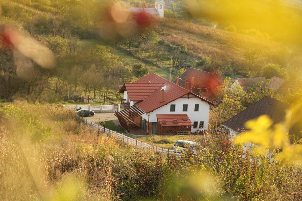 Pensiunea Casa Din VII Seusa Exteriér fotografie